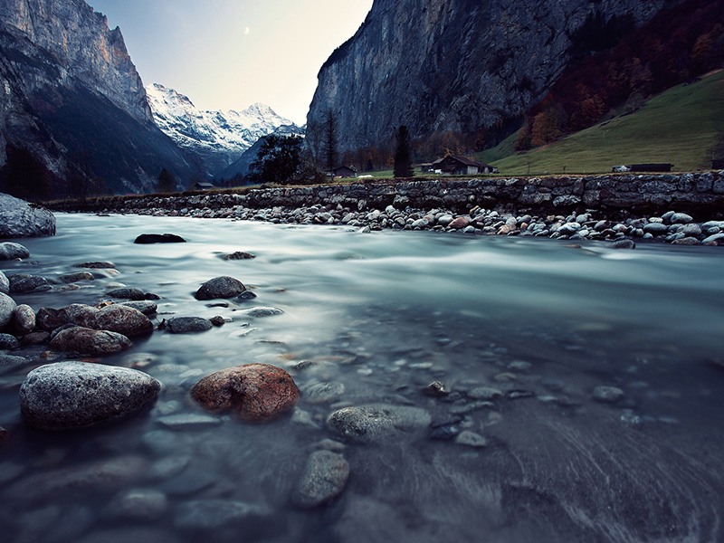 Which Company Would You Choose?